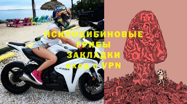 спиды Алексеевка