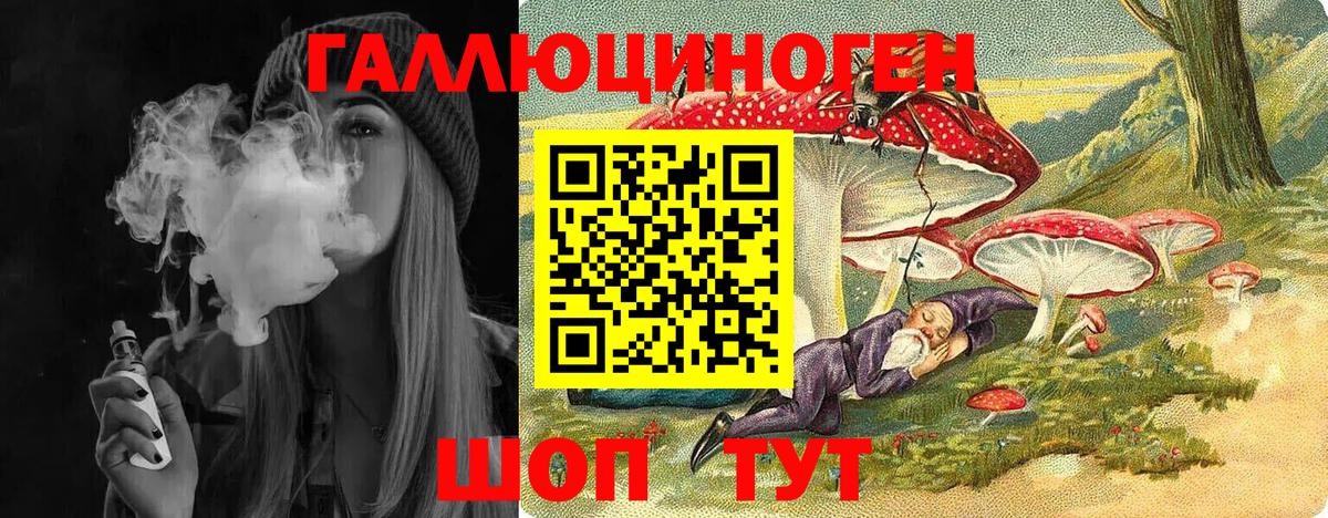 Псилоцибиновые грибы Psilocybe Нарьян-Мар