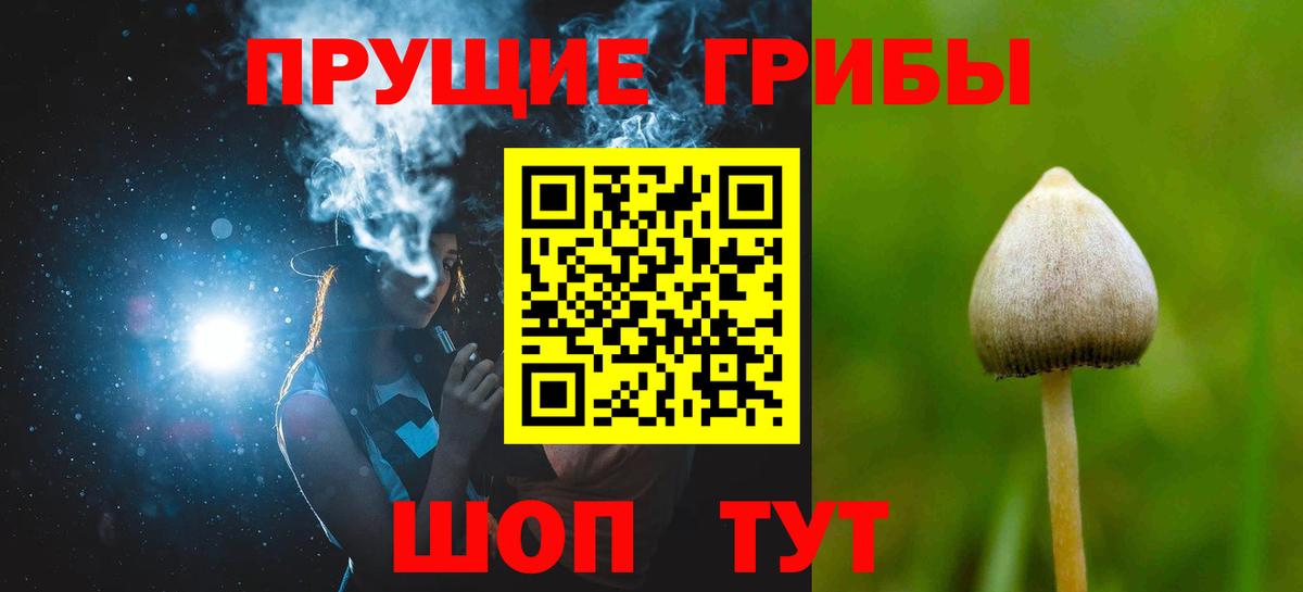 Псилоцибиновые грибы Psilocybine cubensis  Вход с VPN  Нарьян-Мар 